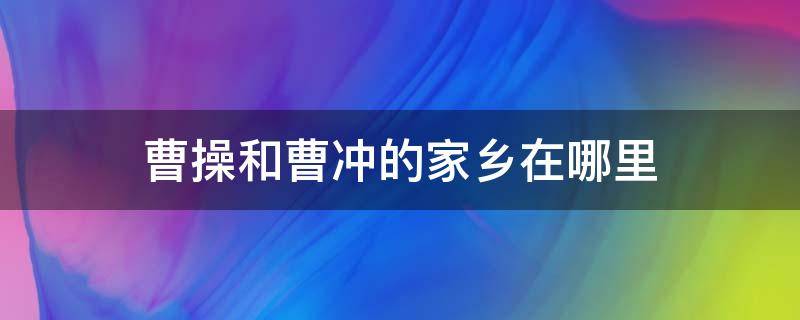 曹操和曹冲的家乡在哪里（曹冲是曹操的什么关系）