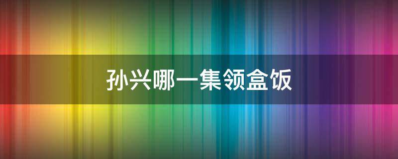 孙兴哪一集领盒饭（21集孙兴被送到谁家了）