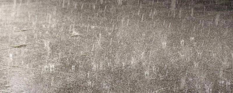 外面是狂风暴雨我该怎么和女朋友说（外面是狂风暴雨我该怎么和女朋友说晚安）