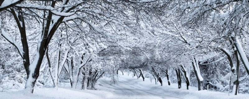 顺义看雪去哪里 顺义下雪了吗