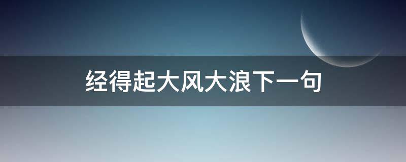 经得起大风大浪下一句 经得起大风大浪下一句是什么