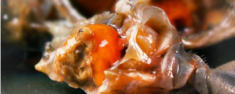 活的小螃蟹怎么腌制 活的小螃蟹怎么腌制 有毒