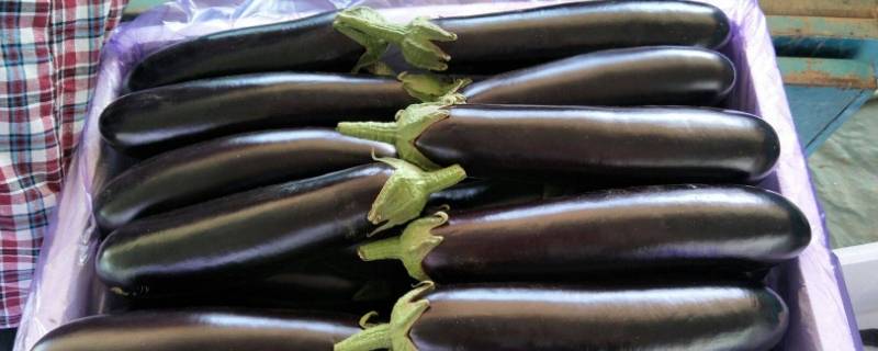 怎样做红烧茄子好吃 怎样做红烧茄子好吃又简单糖醋排骨 糖醋排骨
