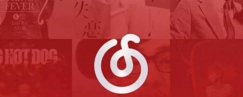 网易云播单在哪（网易云怎么看我的播单）