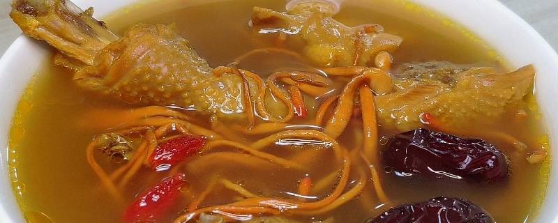 蛹虫草怎么炒菜（干蛹虫草的做法家常菜）