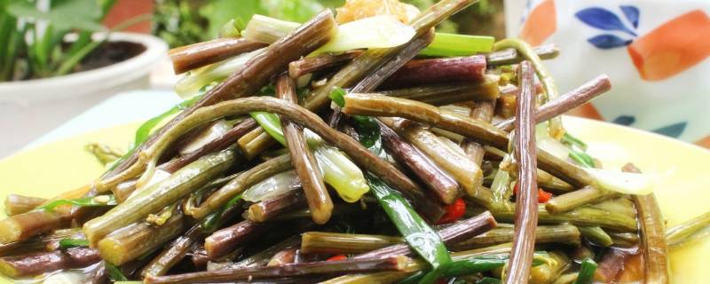 野蕨菜怎么做好吃 野蕨菜怎么吃好吃