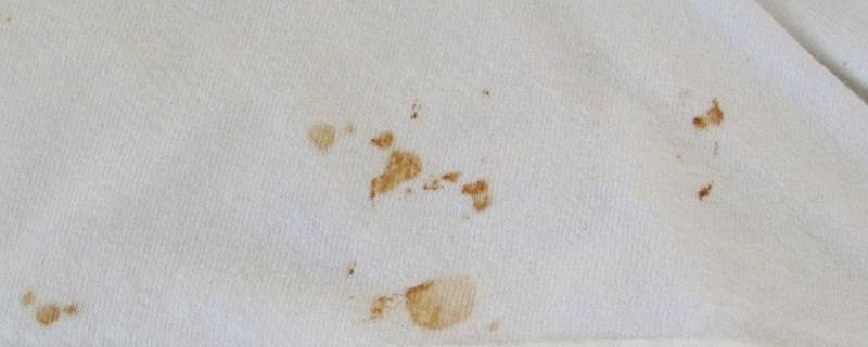 巧克力酱弄到衣服上怎么洗（巧克力弄到了衣服上怎么洗）