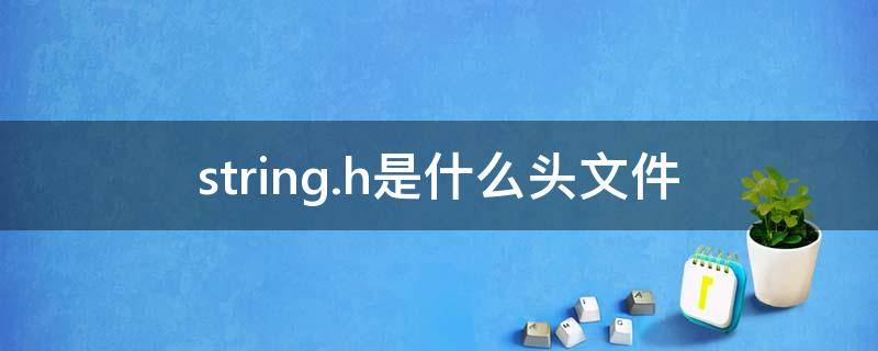 string.h是什么头文件 头文件<string.h>包含哪些