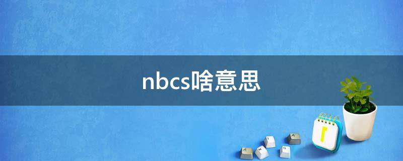 nbcs啥意思（nbcs啥意思?）