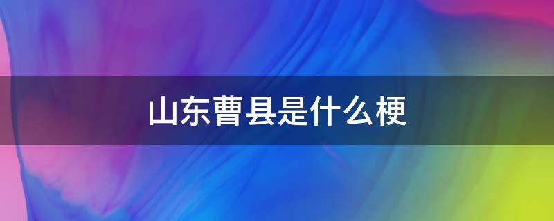 山东曹县是什么梗 山东曹县是啥梗