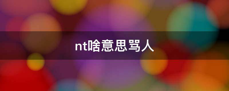 nt啥意思骂人（nt什么意思骂人）