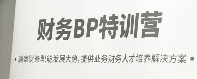 财务bp是什么意思？ 电商财务bp是什么意思