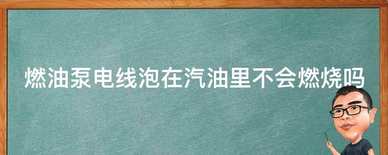 燃油泵电线泡在汽油里不会燃烧吗 汽油泵在油箱里有电线不会起火呀