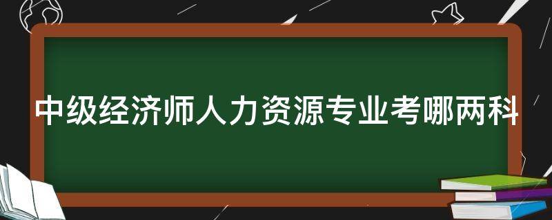 中级经济师人力资源专业考哪两科（中级经济师人力资源专业考几门）