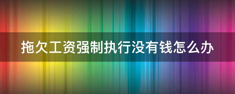 拖欠工资强制执行没有钱怎么办（拖欠工资经过法院强制执行没钱怎么办）