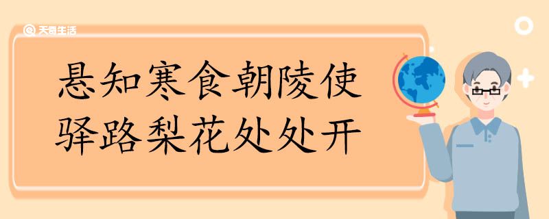 悬知寒食朝陵使驿路梨花处处开赏析