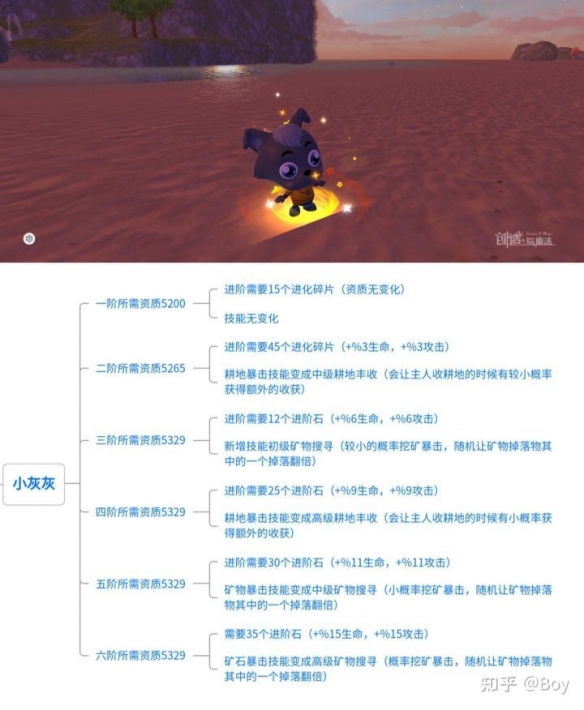 创造与魔法小灰灰怎么样