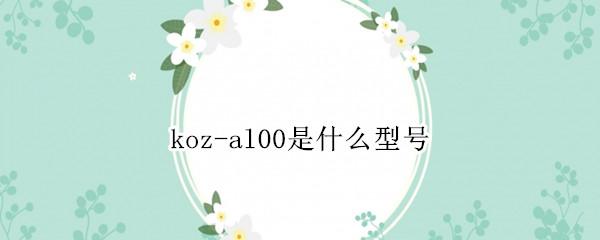 koz-al00是什么型号 pot-al00a是什么型号