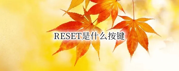 RESET是什么按键（汽车上reset是什么按键）