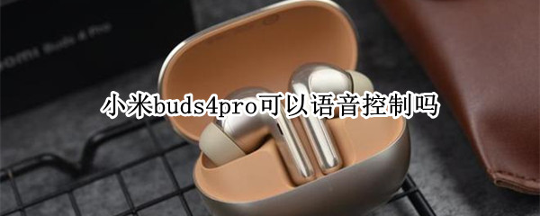 小米buds4pro可以语音控制吗（小米手机buds能弹窗吗）