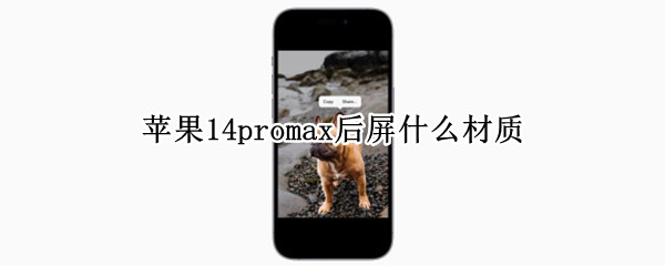 苹果14promax后屏什么材质（苹果11promax后屏是什么材质）