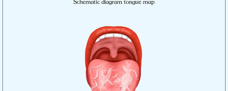 地图舌需要补充什么维生素（地图舌是缺什么维生素引起的）