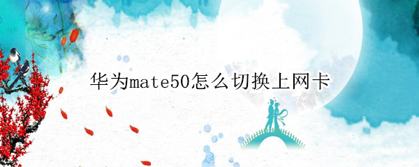 华为mate50怎么切换上网卡（华为mate30怎么切换上网卡）