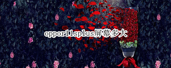 oppor11splus屏幕多大（oppor11splus屏幕多大?几乘几）