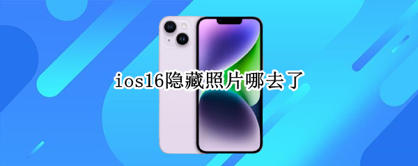 ios16隐藏照片哪去了（ios13隐藏的照片在哪）