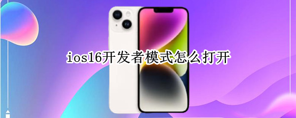 ios16开发者模式怎么打开（ios15开发者选项在哪里打开）