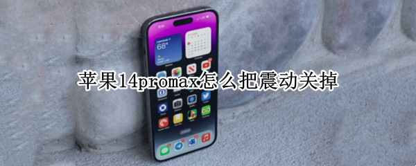 苹果14promax怎么把震动关掉（iphone12pro max怎么关闭震动）