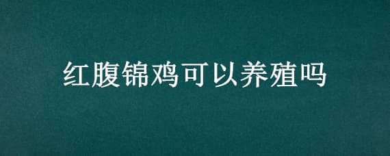 红腹锦鸡可以养殖吗