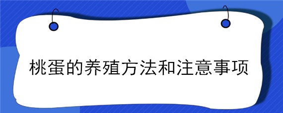 桃蛋的养殖方法和注意事项