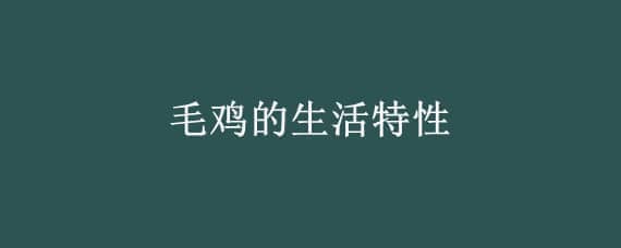 毛鸡的生活特性 毛鸡的生活特性是什么
