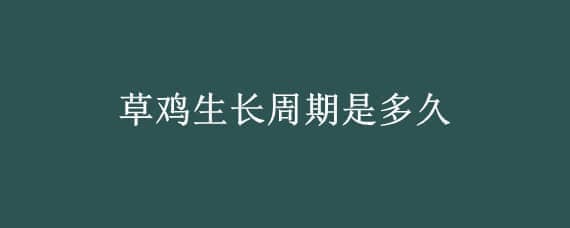 草鸡生长周期是多久 草鸡的寿命有多长时间