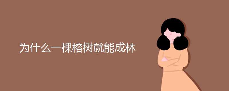 为什么一棵榕树就能成林 榕树为什么会一棵成林