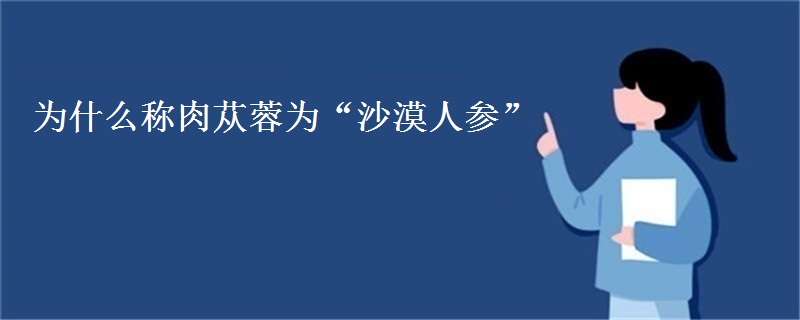 为什么称肉苁蓉为沙漠人参 沙漠人参苁蓉图片