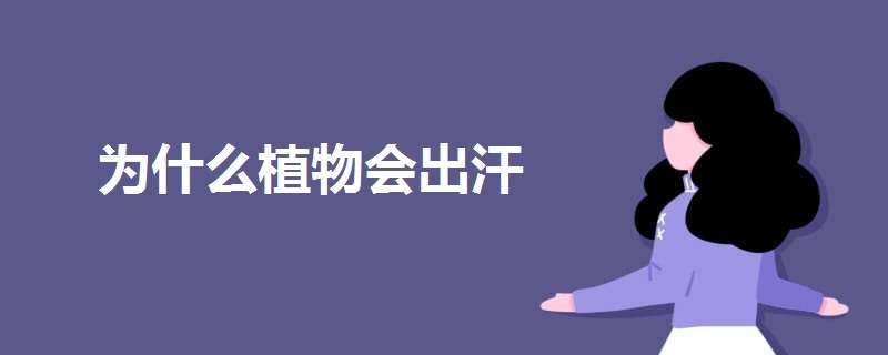 为什么植物会出汗 