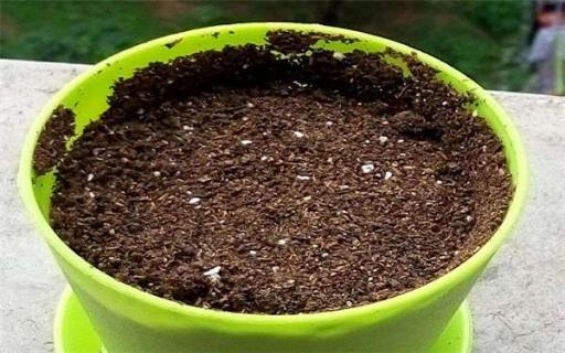花盆土板结放鸡蛋壳有用么 花盆土里放鸡蛋壳