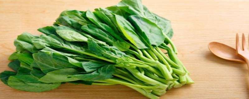 青菜怎么保存新鲜不烂（超市青菜怎么保存新鲜不烂）