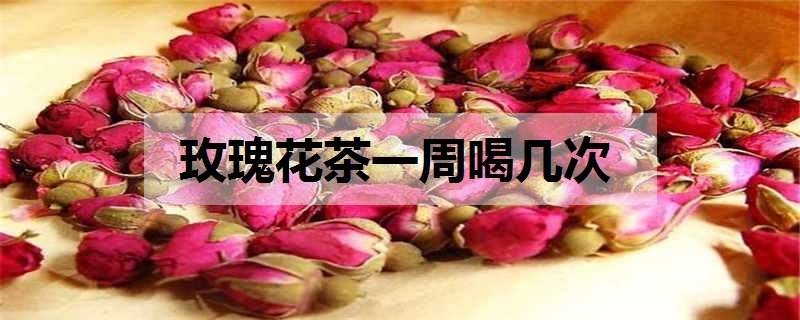 玫瑰花茶一周喝几次