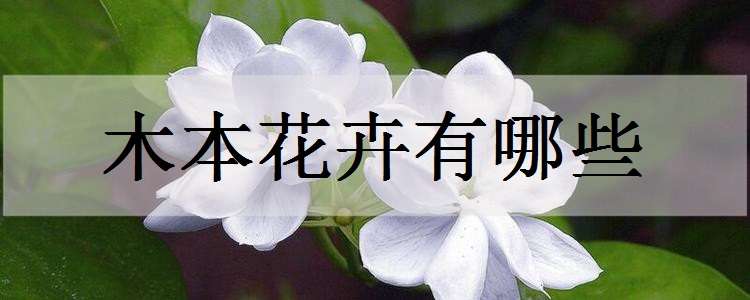 木本花卉有哪些 好养的木本花卉有哪些