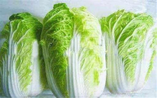 适合秋天播种的蔬菜 适合秋天播种的蔬菜种子