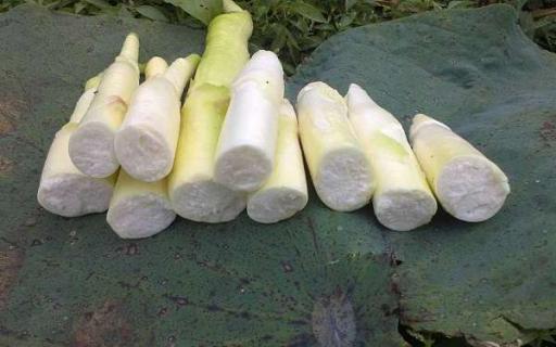 五种下奶蔬菜 五种下奶蔬菜汤的做法窍门