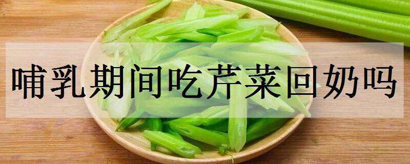 哺乳期间吃芹菜回奶吗