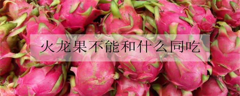 火龙果不能和什么同吃 火龙果与什么不能同吃