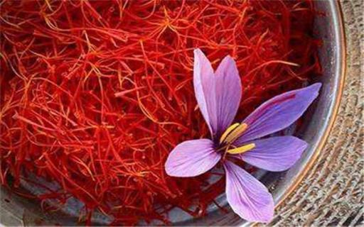 西红花和藏红花的区别（西红花和藏红花的区别和功效）