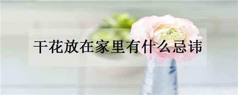 干花放在家里有什么忌讳（勿忘我干花放在家里有什么忌讳）