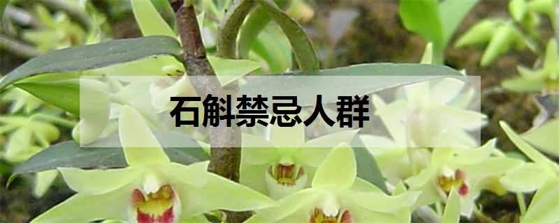 石斛禁忌人群