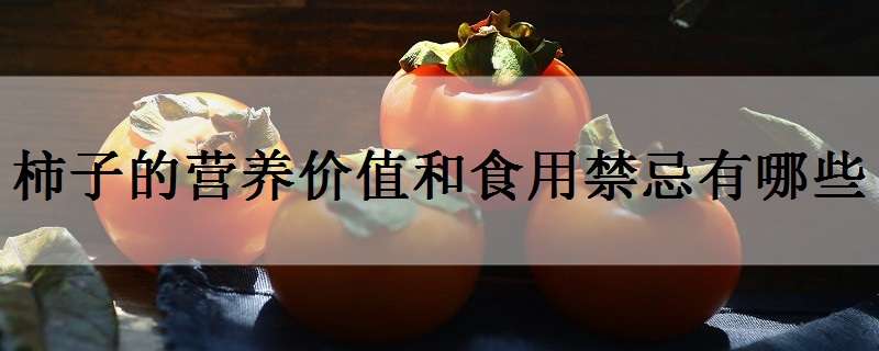 柿子的营养价值和食用禁忌有哪些